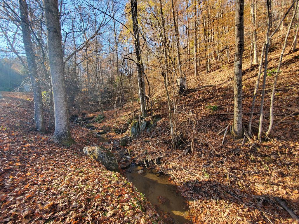 Photo of 00 Ingram Branch Road, Roan Mountain, TN 37687 (MLS # 9991537)