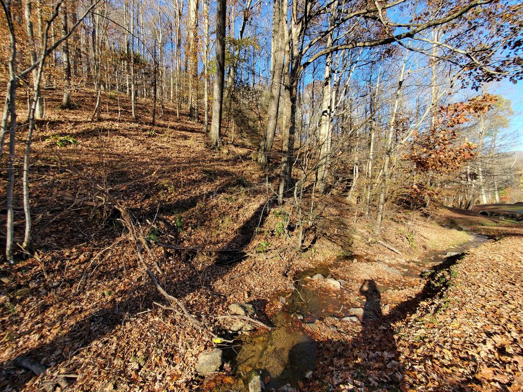 Photo of 00 Ingram Branch Road, Roan Mountain, TN 37687 (MLS # 9991537)