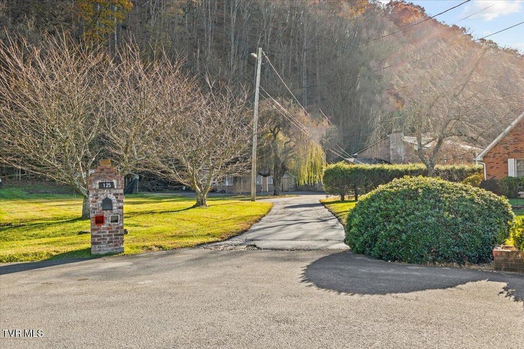 Photo of 125 Abe Lincoln Court, Elizabethton, TN 37643 (MLS # 9988369)