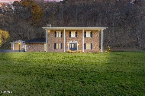 Photo of 125 Abe Lincoln Court, Elizabethton, TN 37643 (MLS # 9988369)