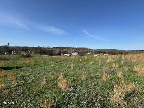 Lot 2 Mcdonald Road Midway TN 37809