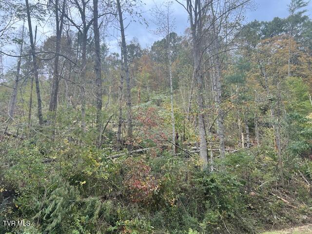 Tbd Roan Creek Road, Butler, Tennessee image 19
