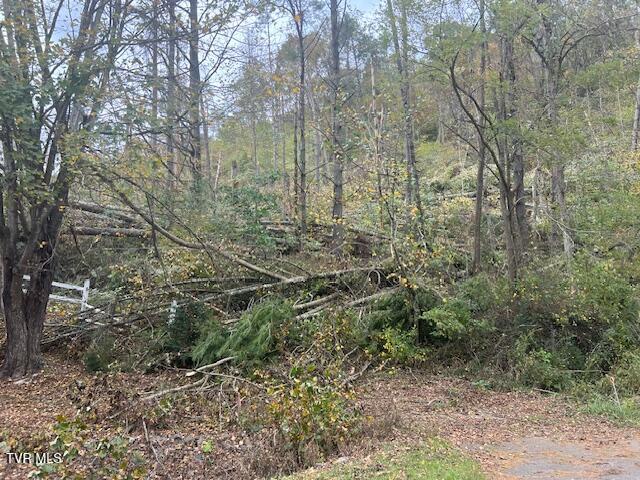 Tbd Roan Creek Road, Butler, Tennessee image 20