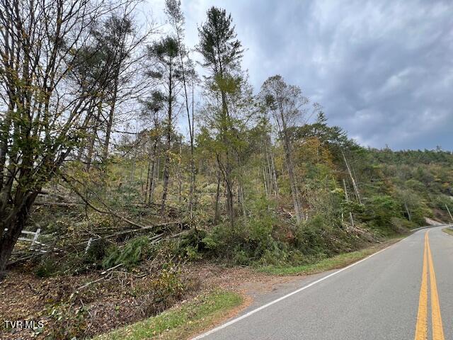 Tbd Roan Creek Road, Butler, Tennessee image 21