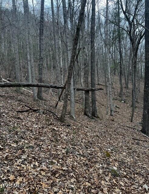 Tbd Roan Creek Road, Butler, Tennessee image 1