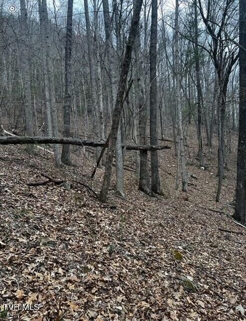 Vacant Land For Sale - TBD Roan Creek Road<br/> Johnson County, Butler, TN 37640