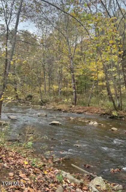 Tbd Roan Creek Road, Butler, Tennessee image 16