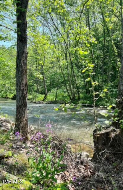 Tbd Roan Creek Road, Butler, Tennessee image 17