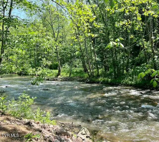 Tbd Roan Creek Road, Butler, Tennessee image 18