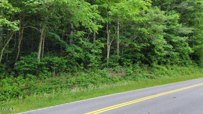 Tbd Roan Creek Road, Butler, Tennessee image 3