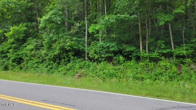 Tbd Roan Creek Road, Butler, Tennessee image 2