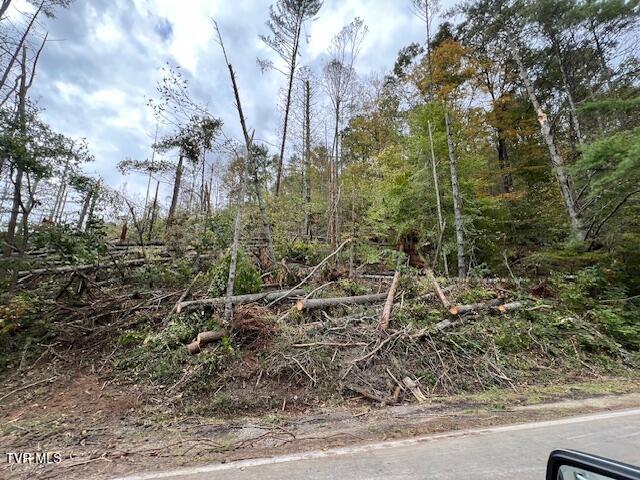 Tbd Roan Creek Road, Butler, Tennessee image 22