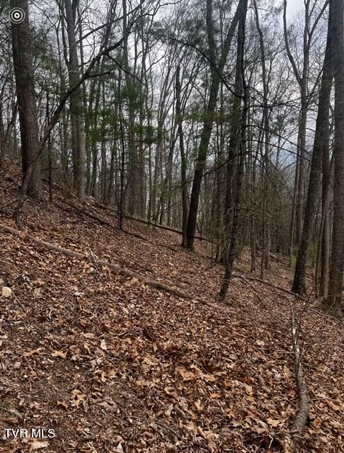 Tbd Roan Creek Road, Butler, Tennessee image 7