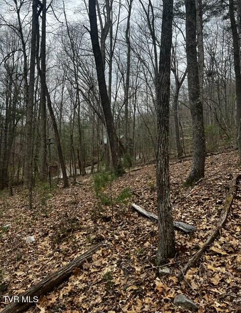 Tbd Roan Creek Road, Butler, Tennessee image 9