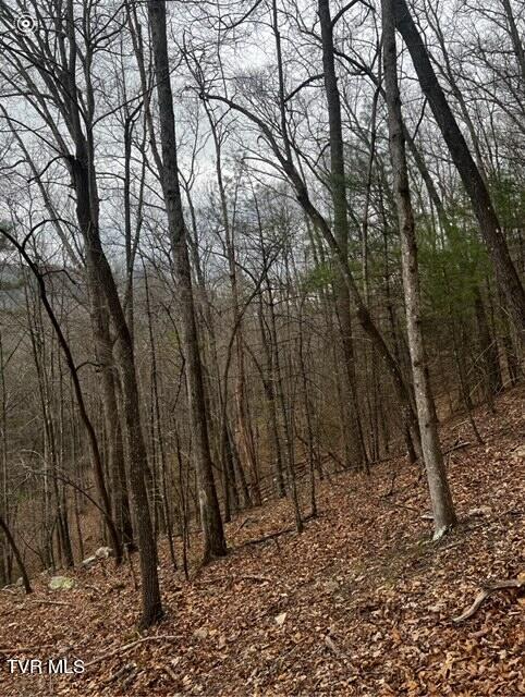 Tbd Roan Creek Road, Butler, Tennessee image 5