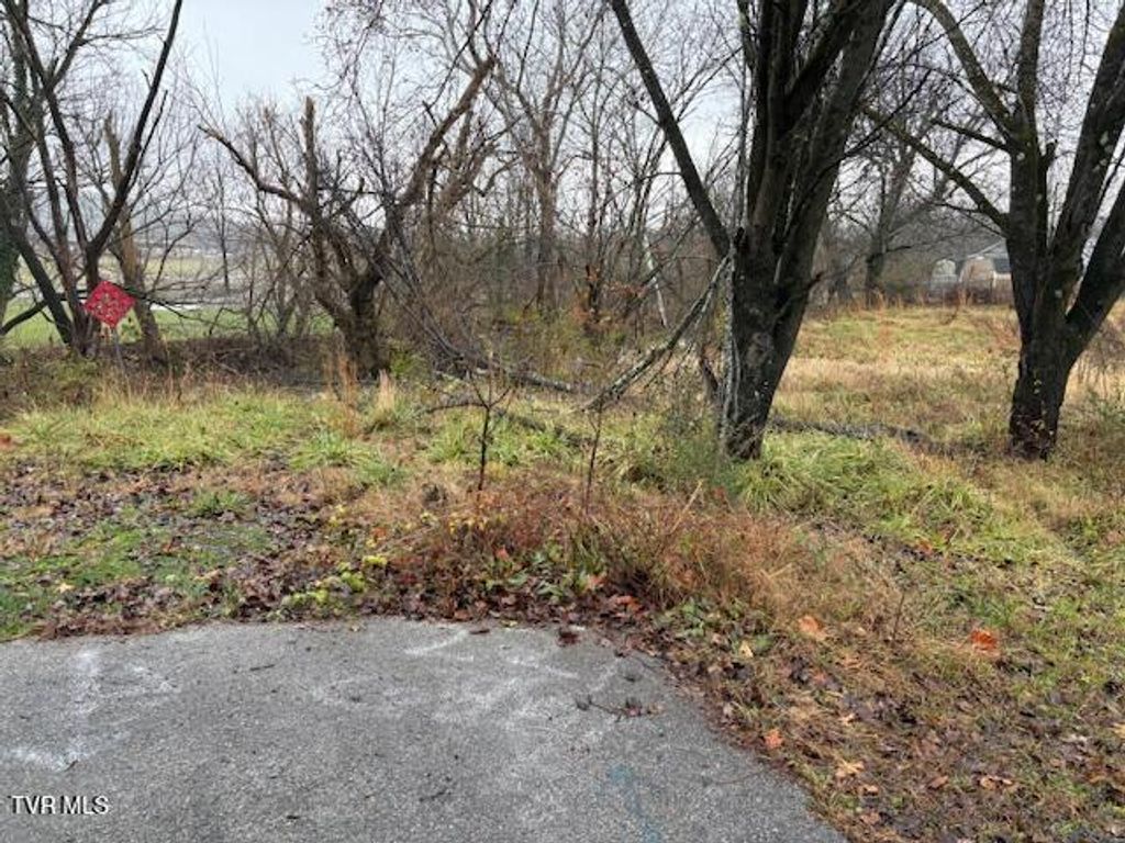 Photo of 221 Cedar Street, Kingsport, TN 37660 (MLS # 9989611)