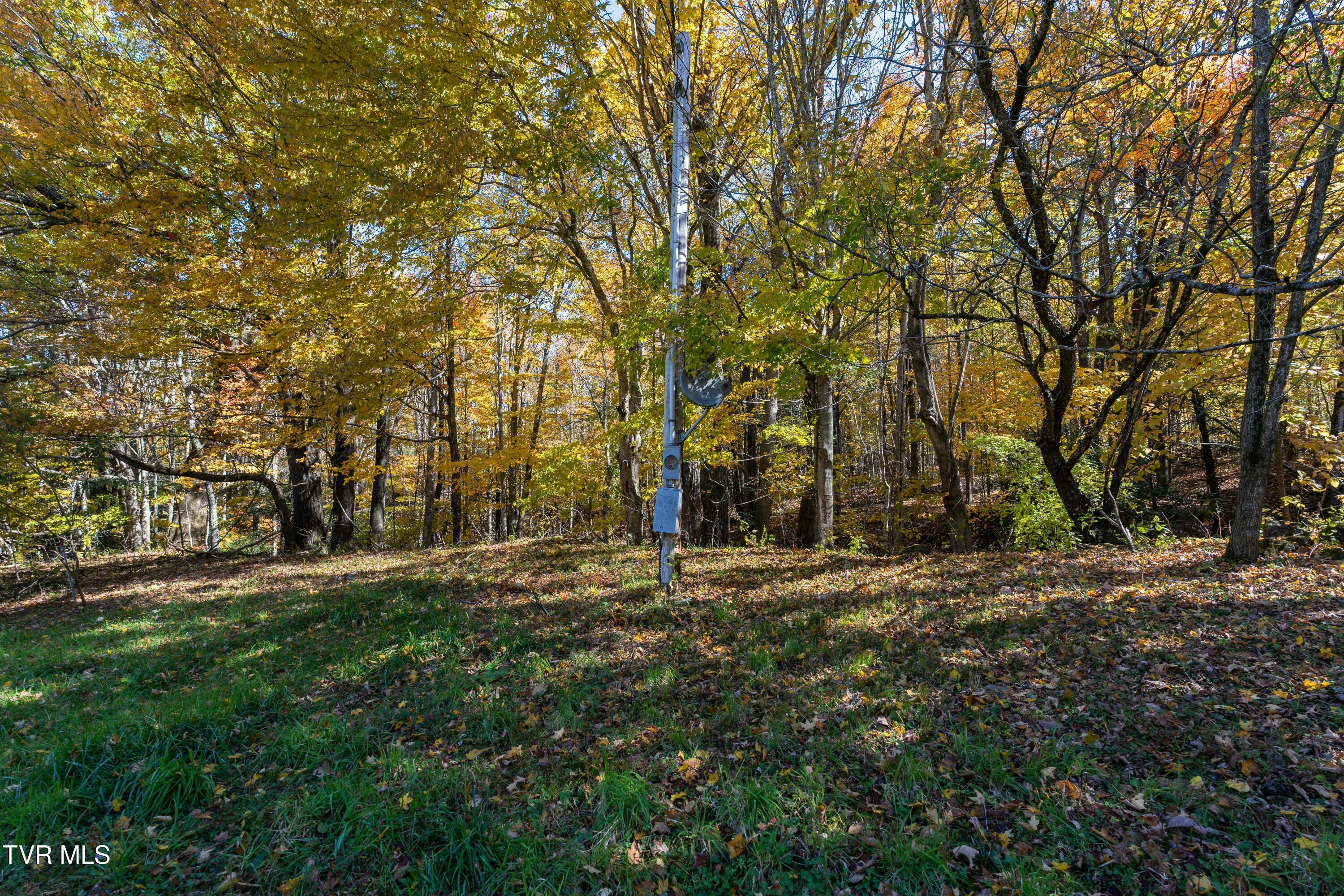 140 Doe Lane, Roan Mountain, Tennessee image 11