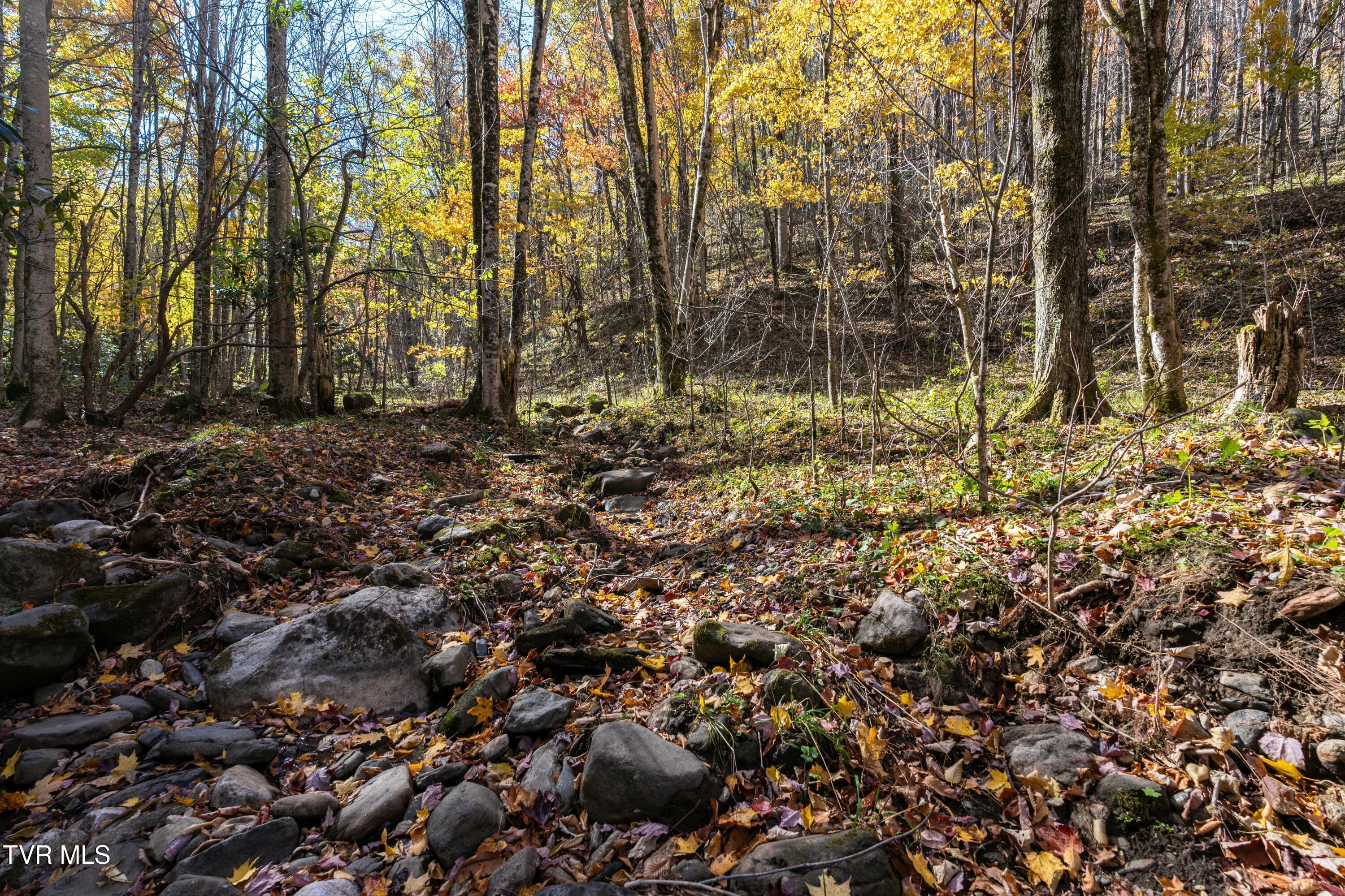 140 Doe Lane, Roan Mountain, Tennessee image 18