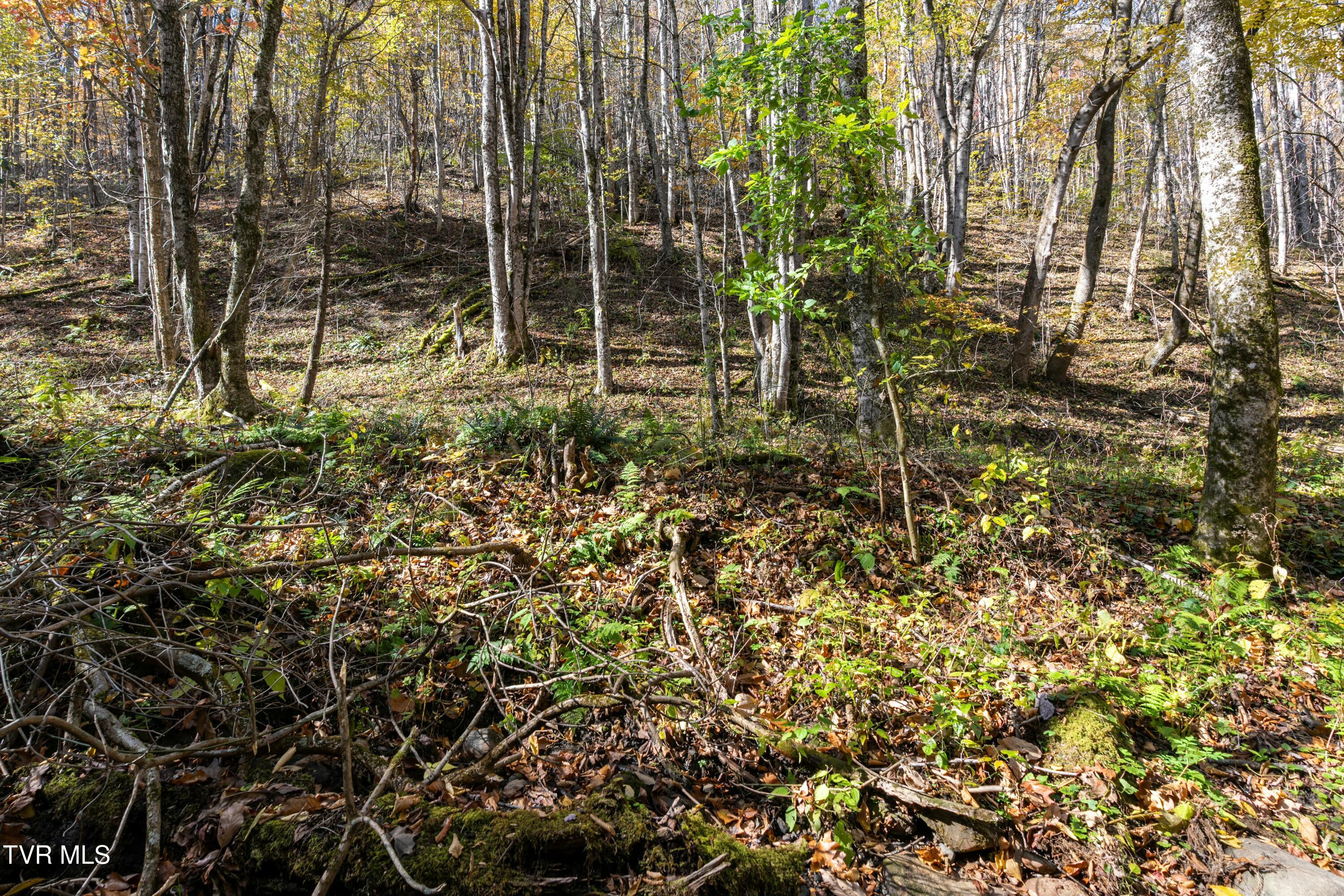 140 Doe Lane, Roan Mountain, Tennessee image 30