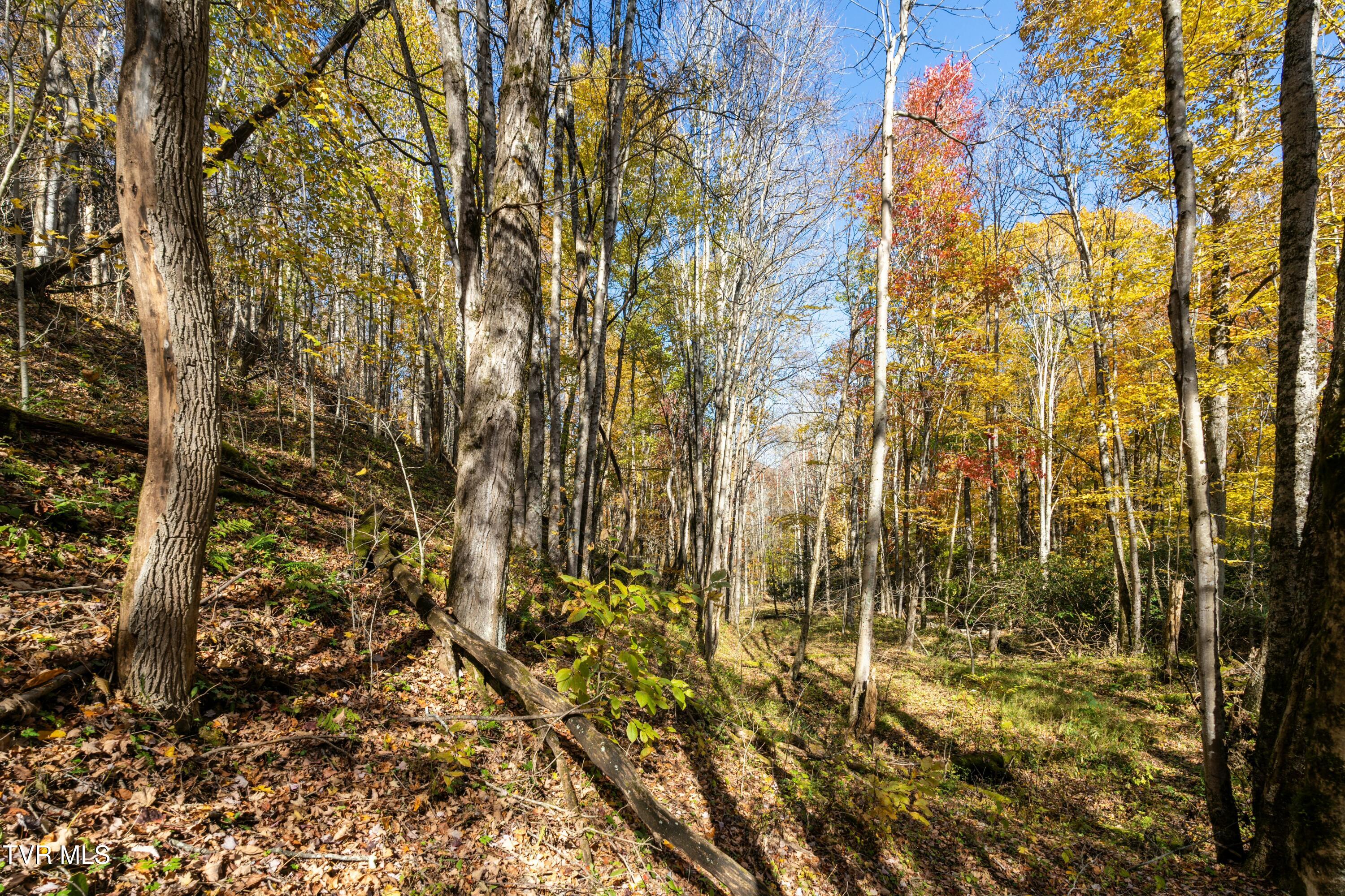 140 Doe Lane, Roan Mountain, Tennessee image 34
