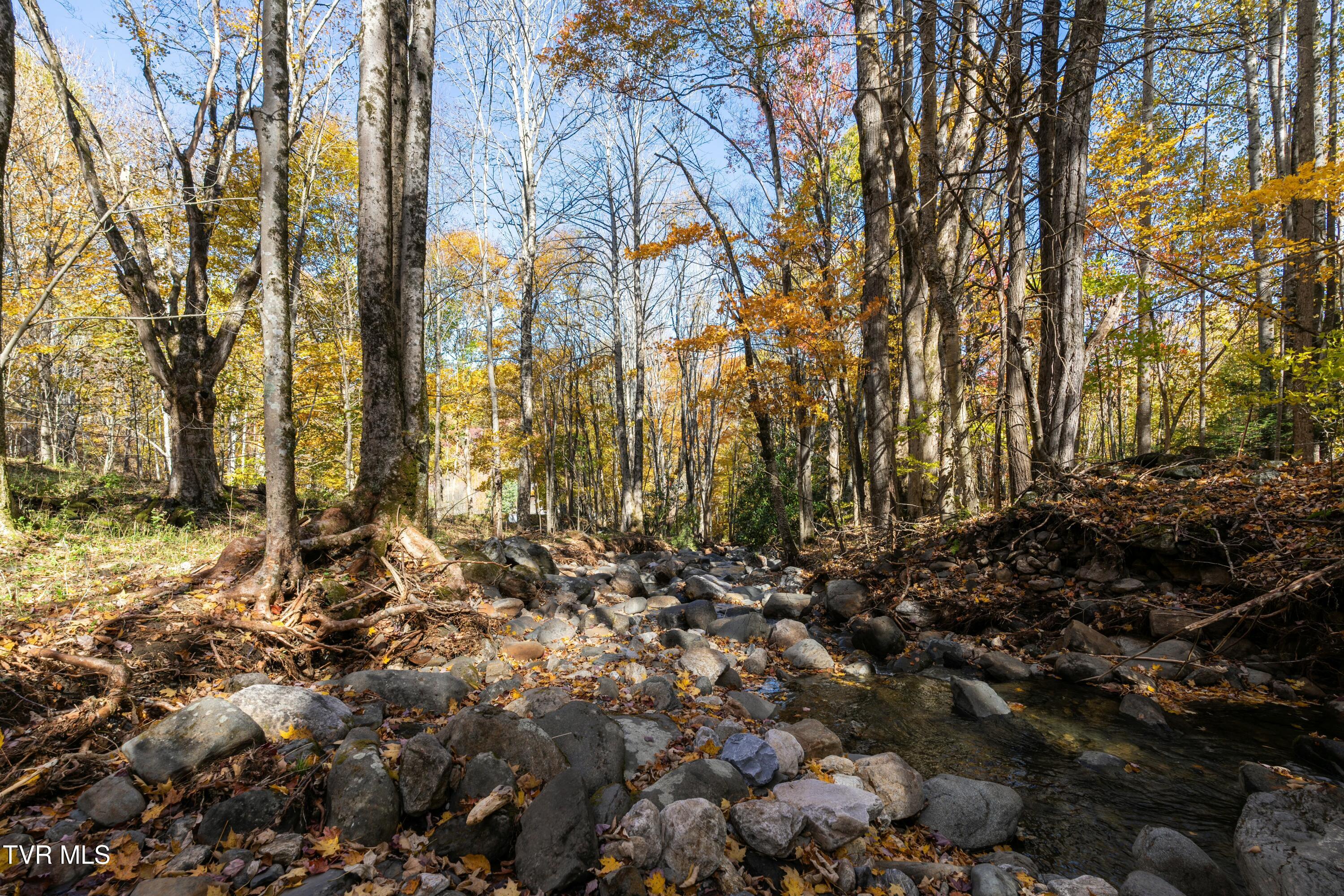 140 Doe Lane, Roan Mountain, Tennessee image 19