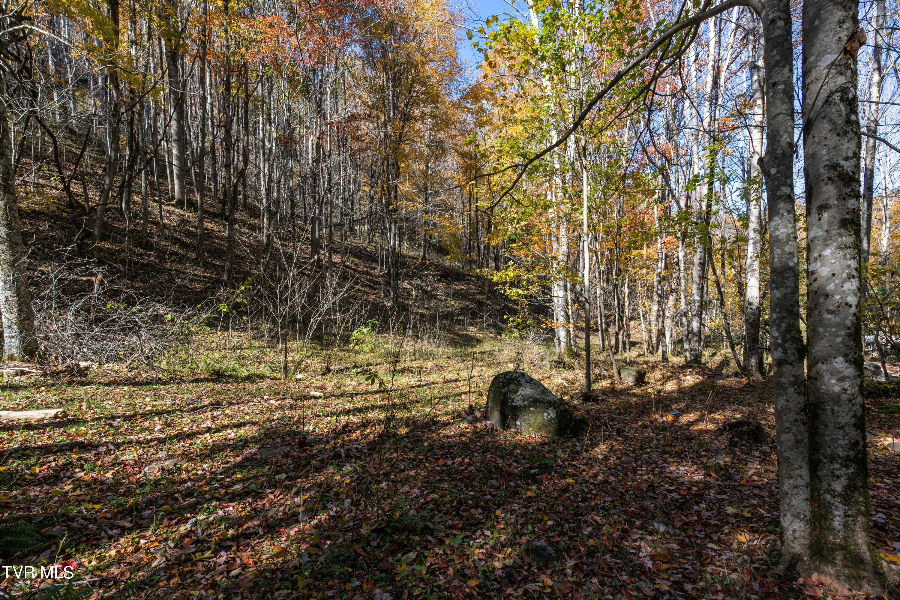 140 Doe Lane, Roan Mountain, Tennessee image 24