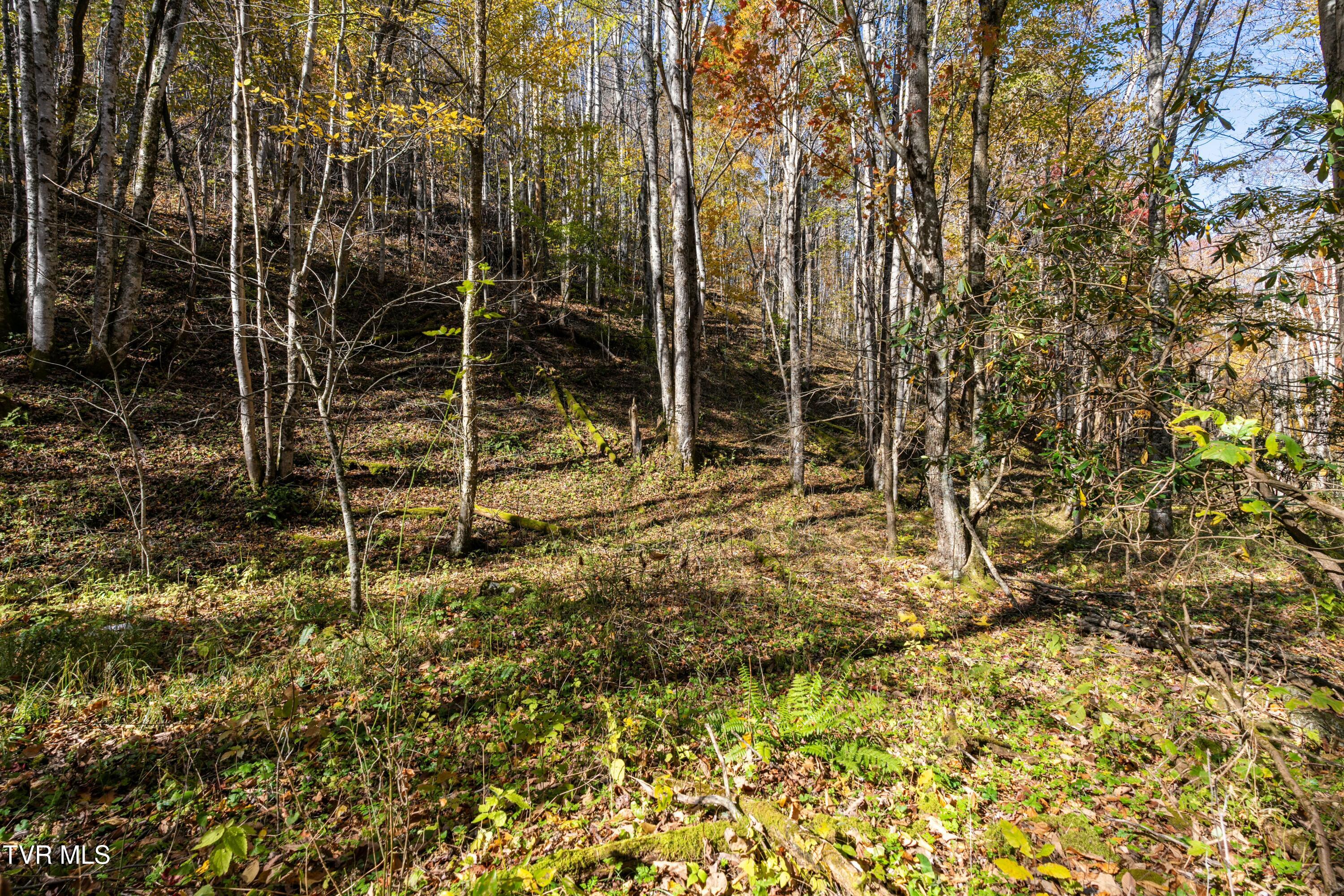 140 Doe Lane, Roan Mountain, Tennessee image 31