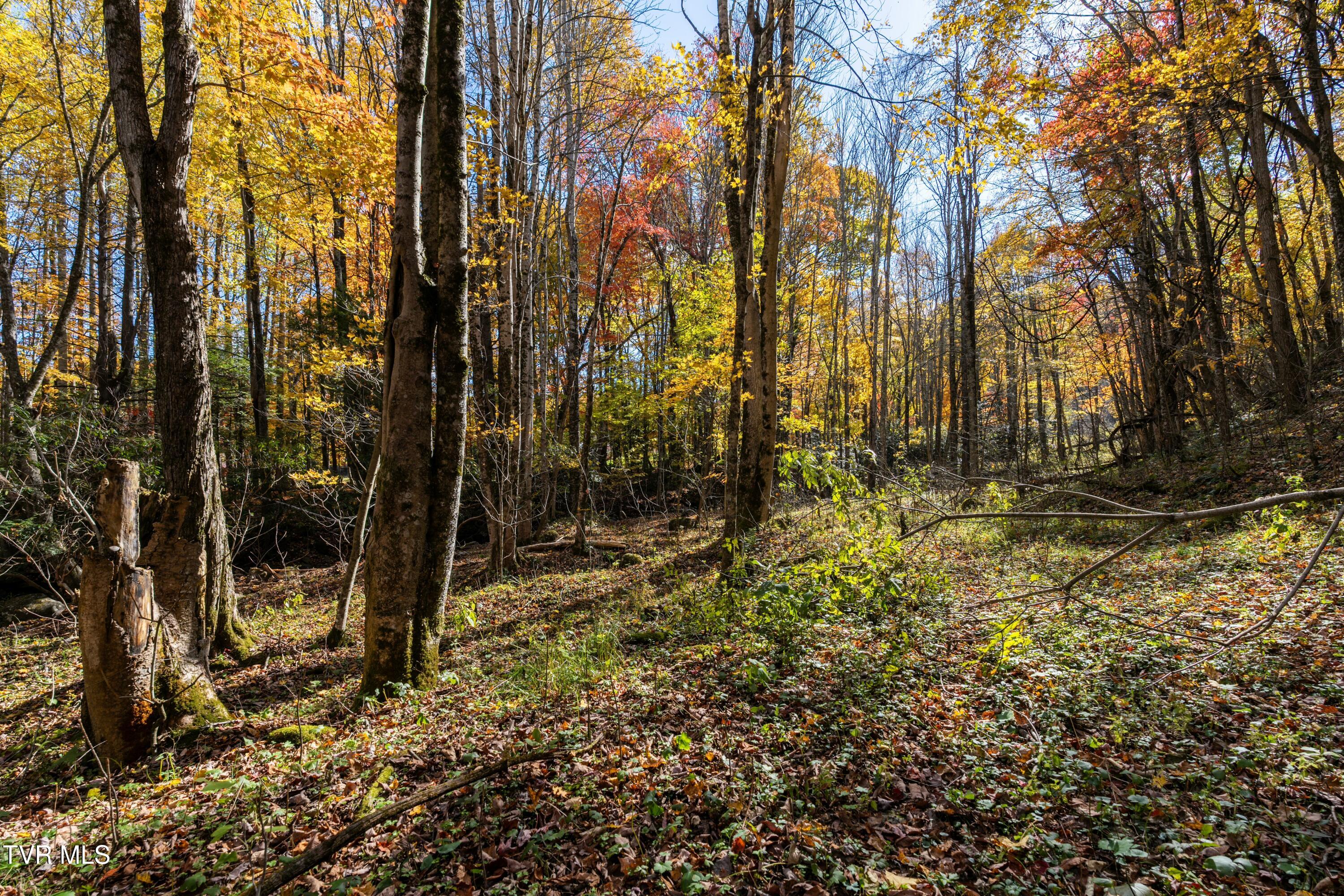 140 Doe Lane, Roan Mountain, Tennessee image 42