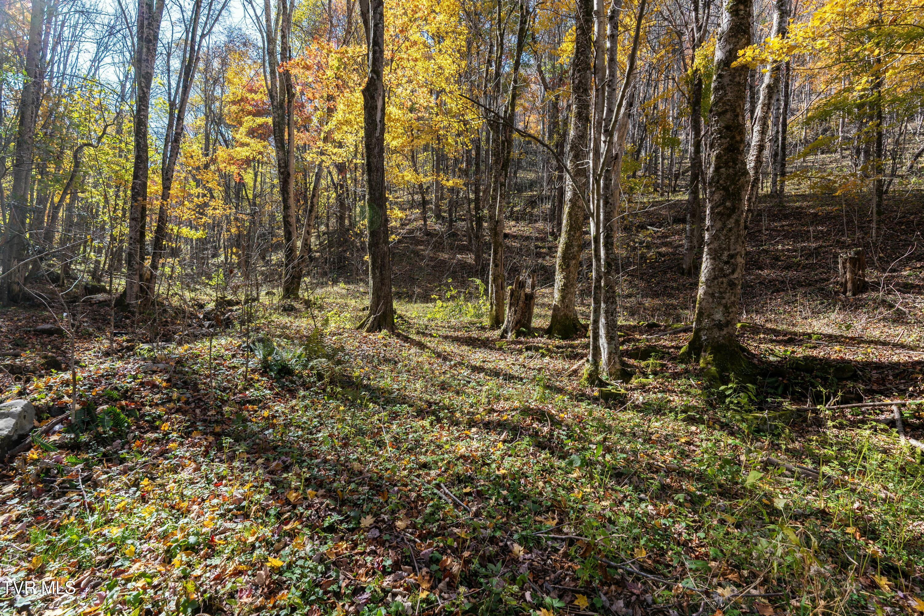 140 Doe Lane, Roan Mountain, Tennessee image 17