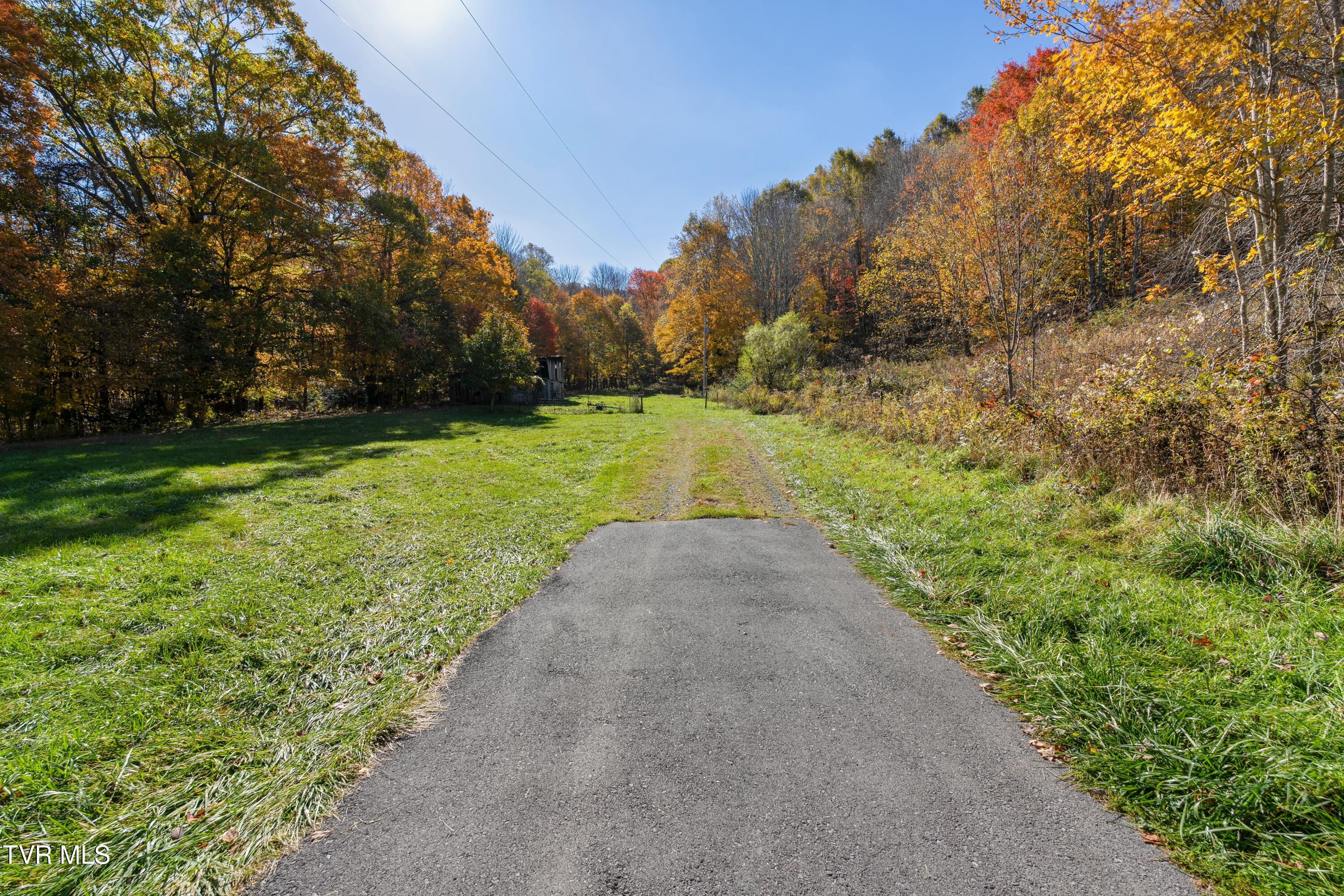 140 Doe Lane, Roan Mountain, Tennessee image 1