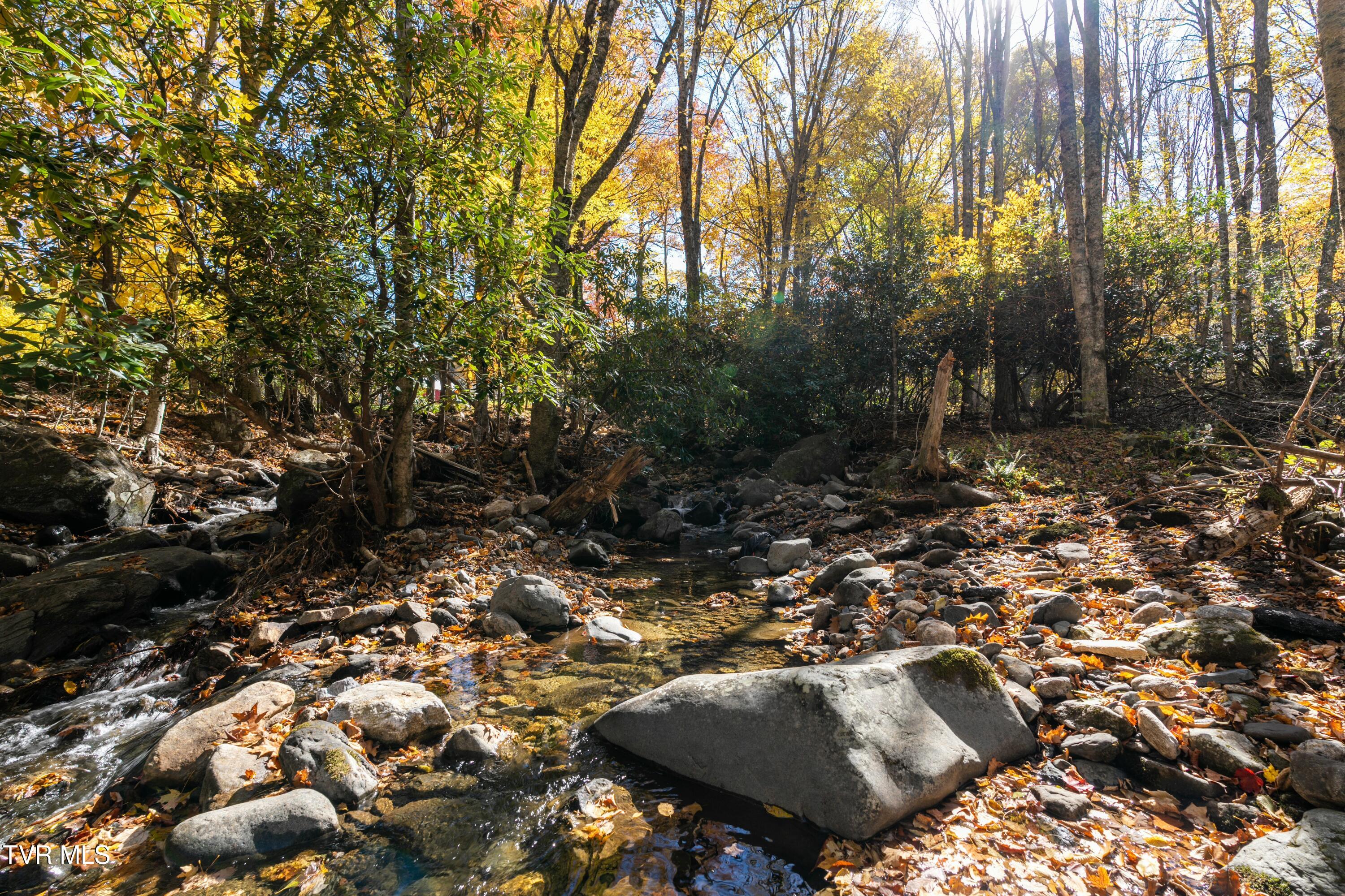 140 Doe Lane, Roan Mountain, Tennessee image 27
