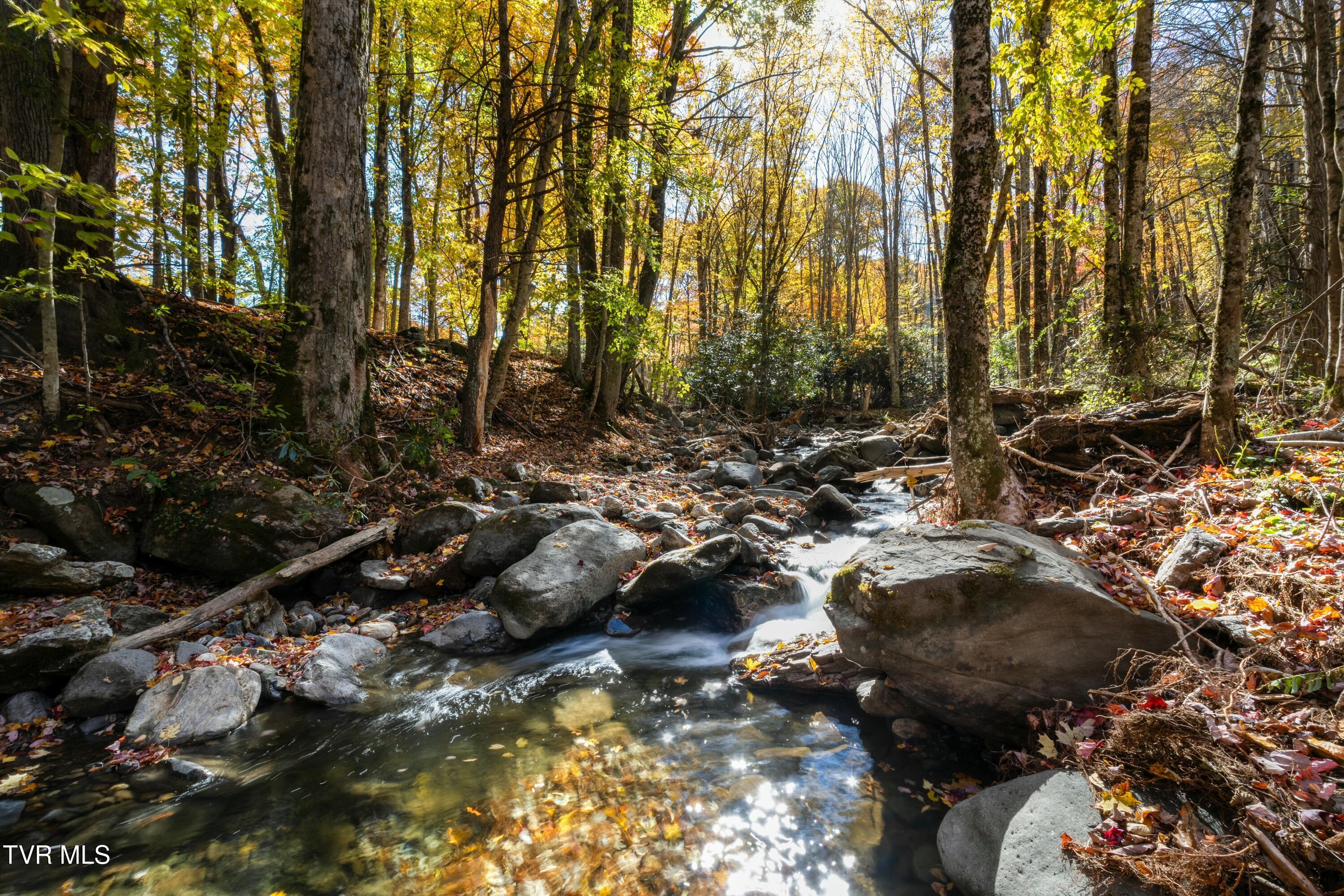 140 Doe Lane, Roan Mountain, Tennessee image 22