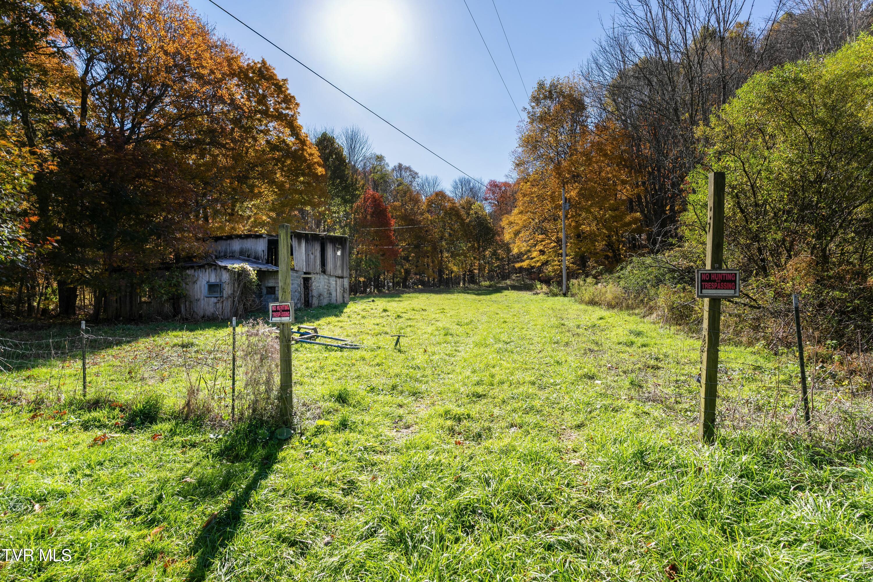 140 Doe Lane, Roan Mountain, Tennessee image 4
