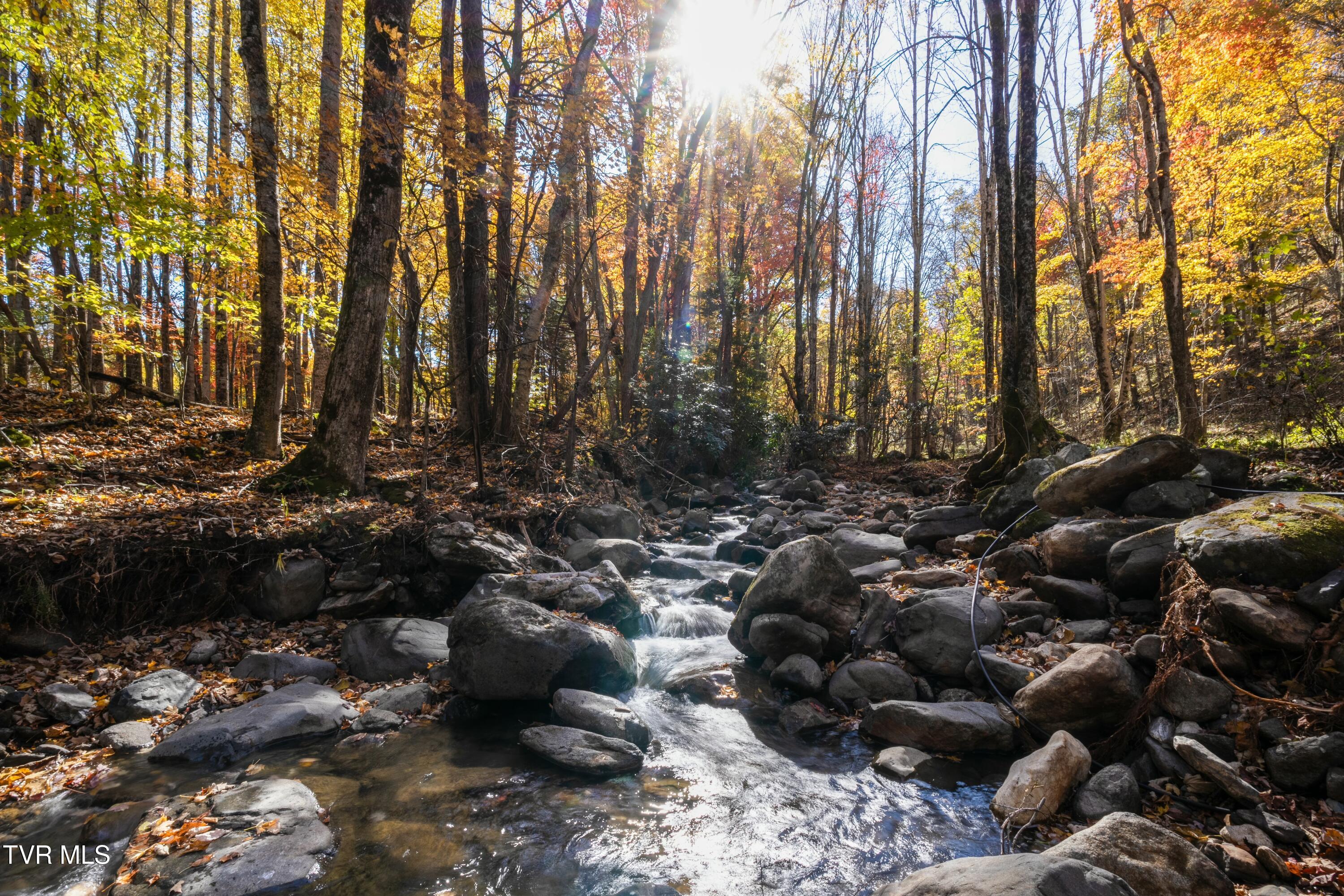 140 Doe Lane, Roan Mountain, Tennessee image 10