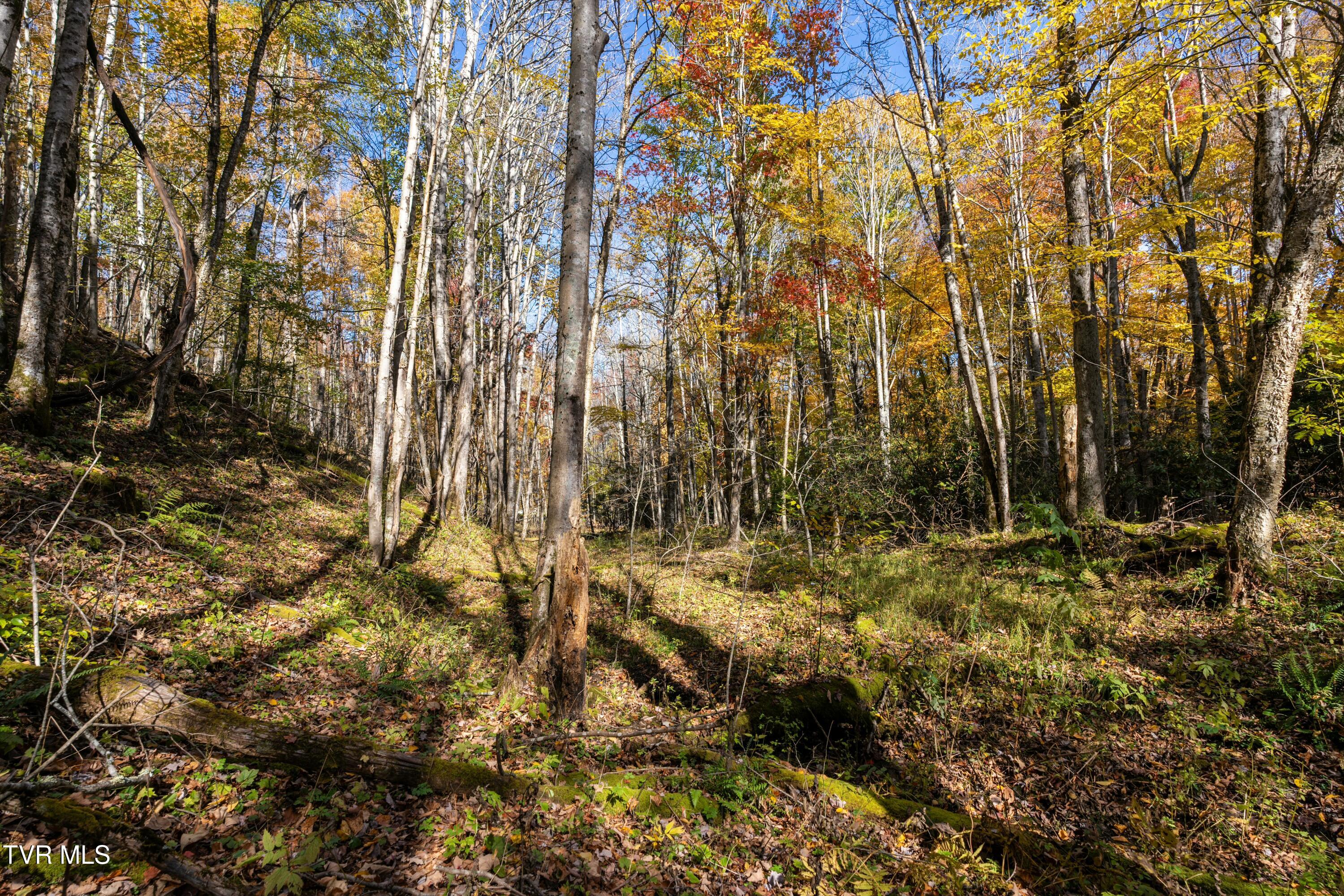 140 Doe Lane, Roan Mountain, Tennessee image 32