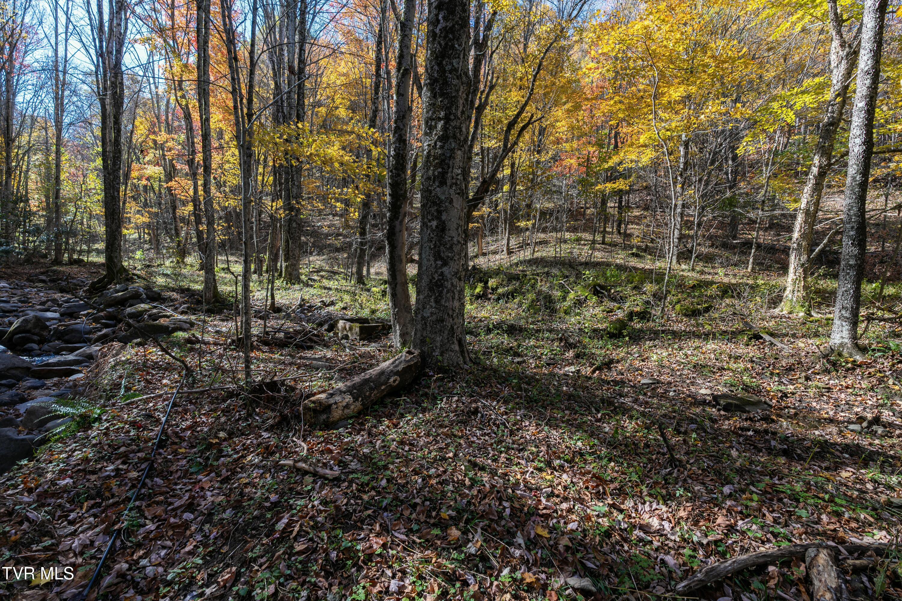 140 Doe Lane, Roan Mountain, Tennessee image 16