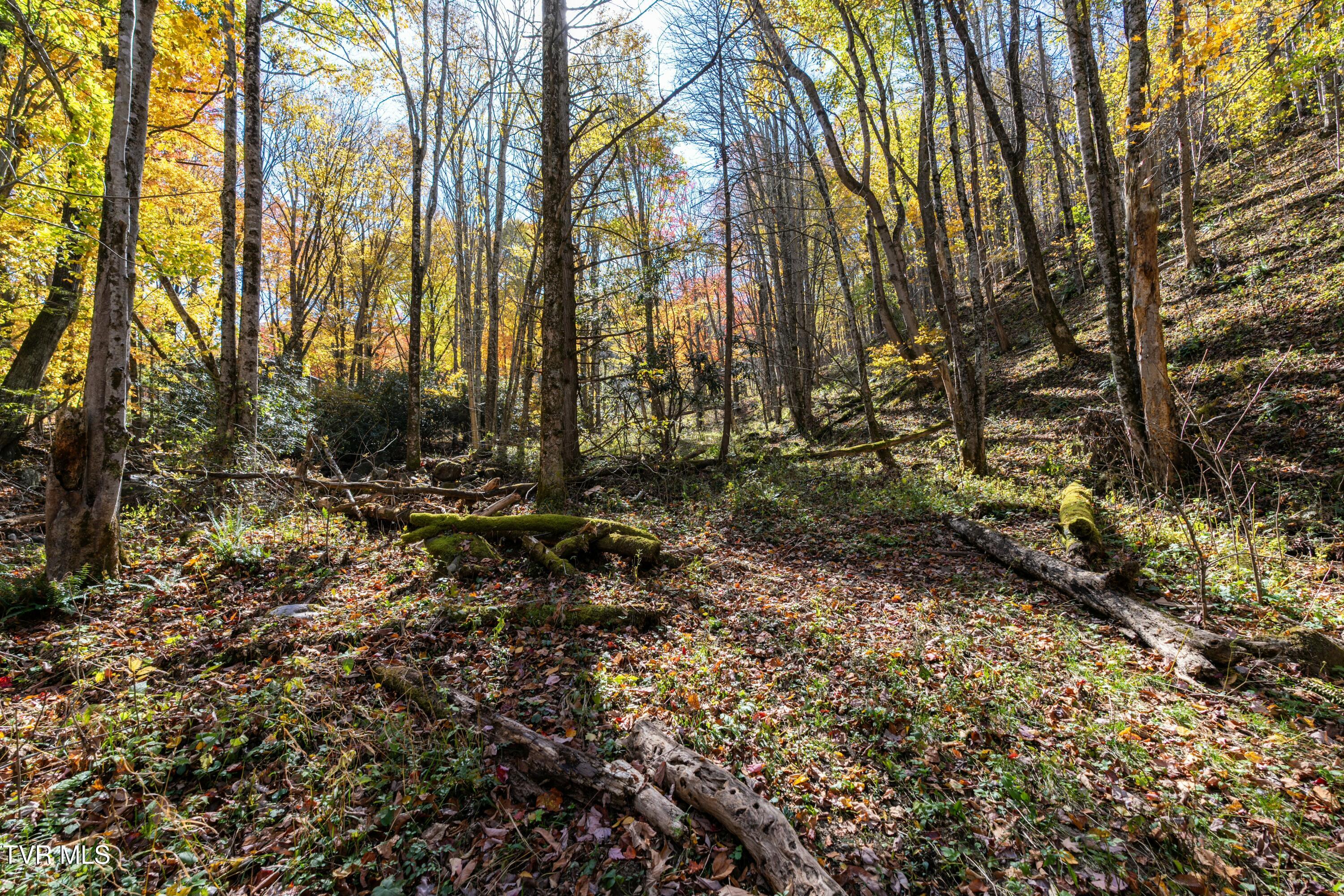 140 Doe Lane, Roan Mountain, Tennessee image 25