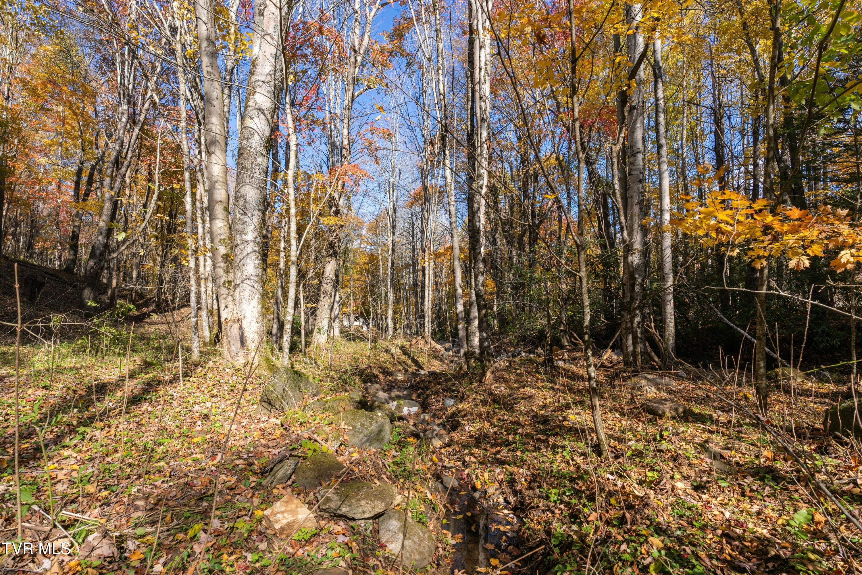 140 Doe Lane, Roan Mountain, Tennessee image 38
