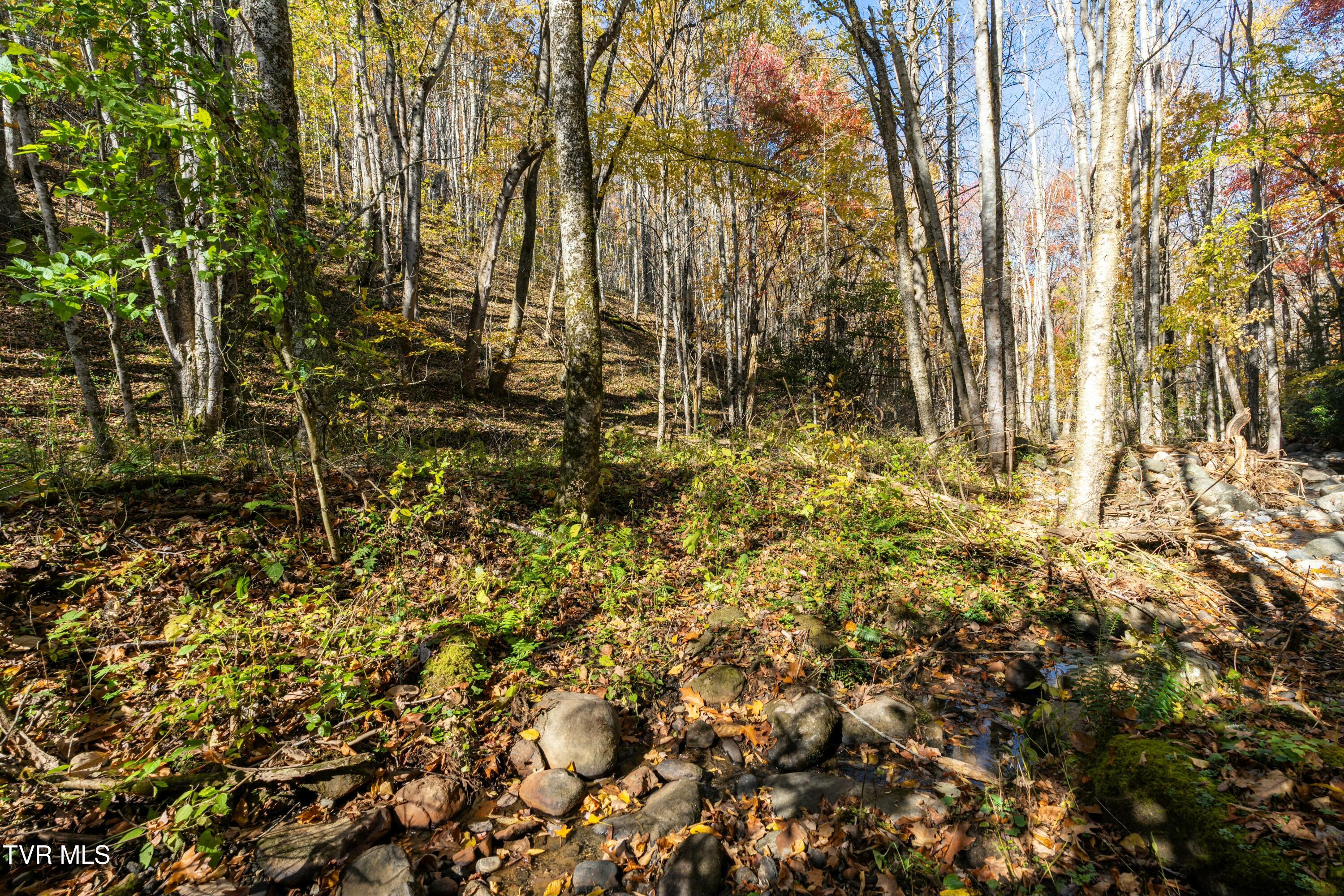 140 Doe Lane, Roan Mountain, Tennessee image 29