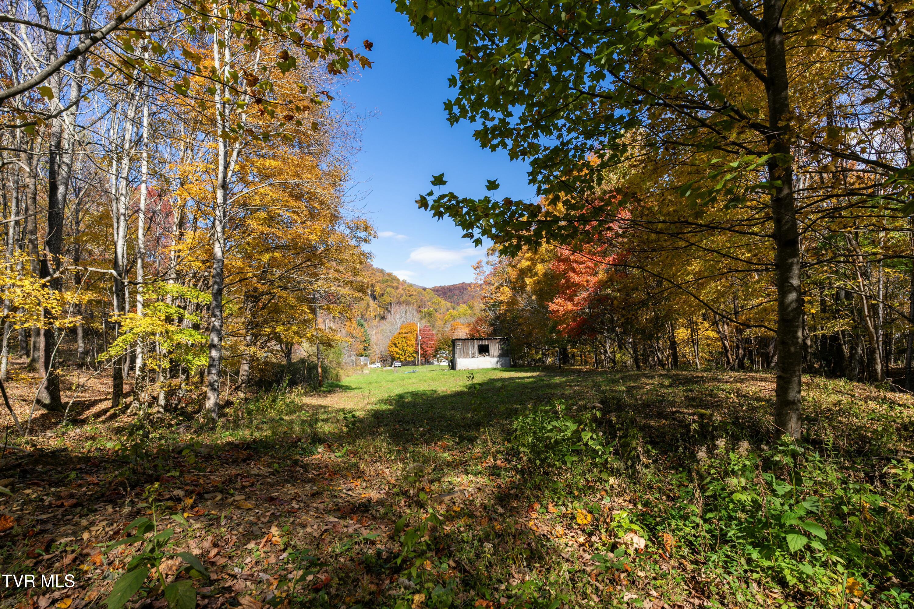 140 Doe Lane, Roan Mountain, Tennessee image 43
