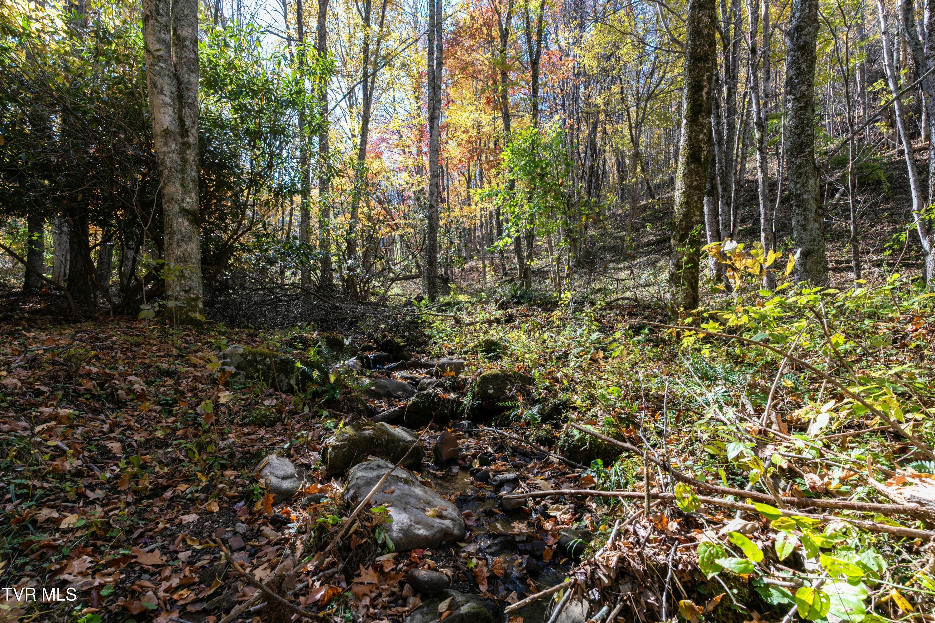 140 Doe Lane, Roan Mountain, Tennessee image 28