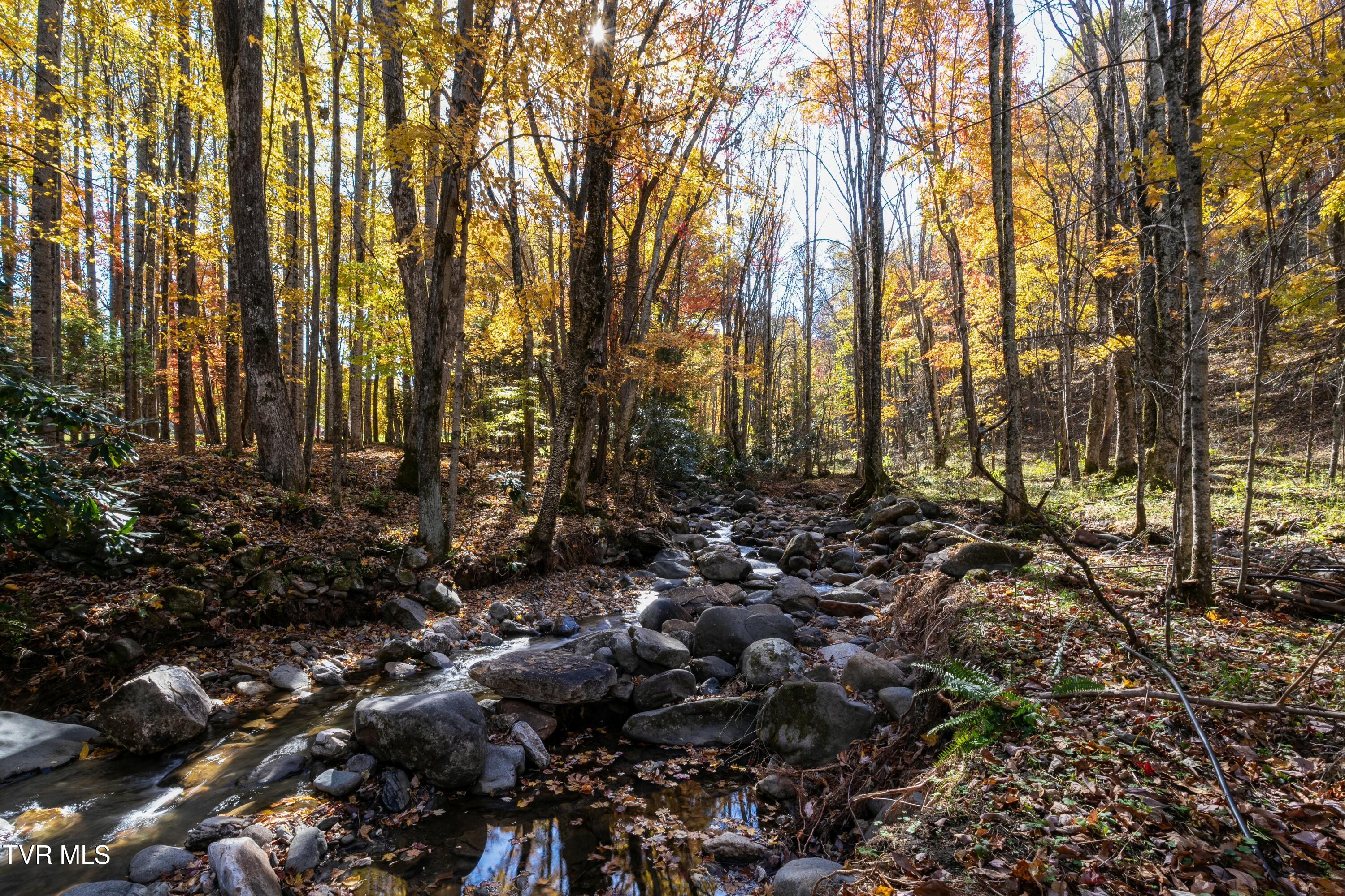 140 Doe Lane, Roan Mountain, Tennessee image 15