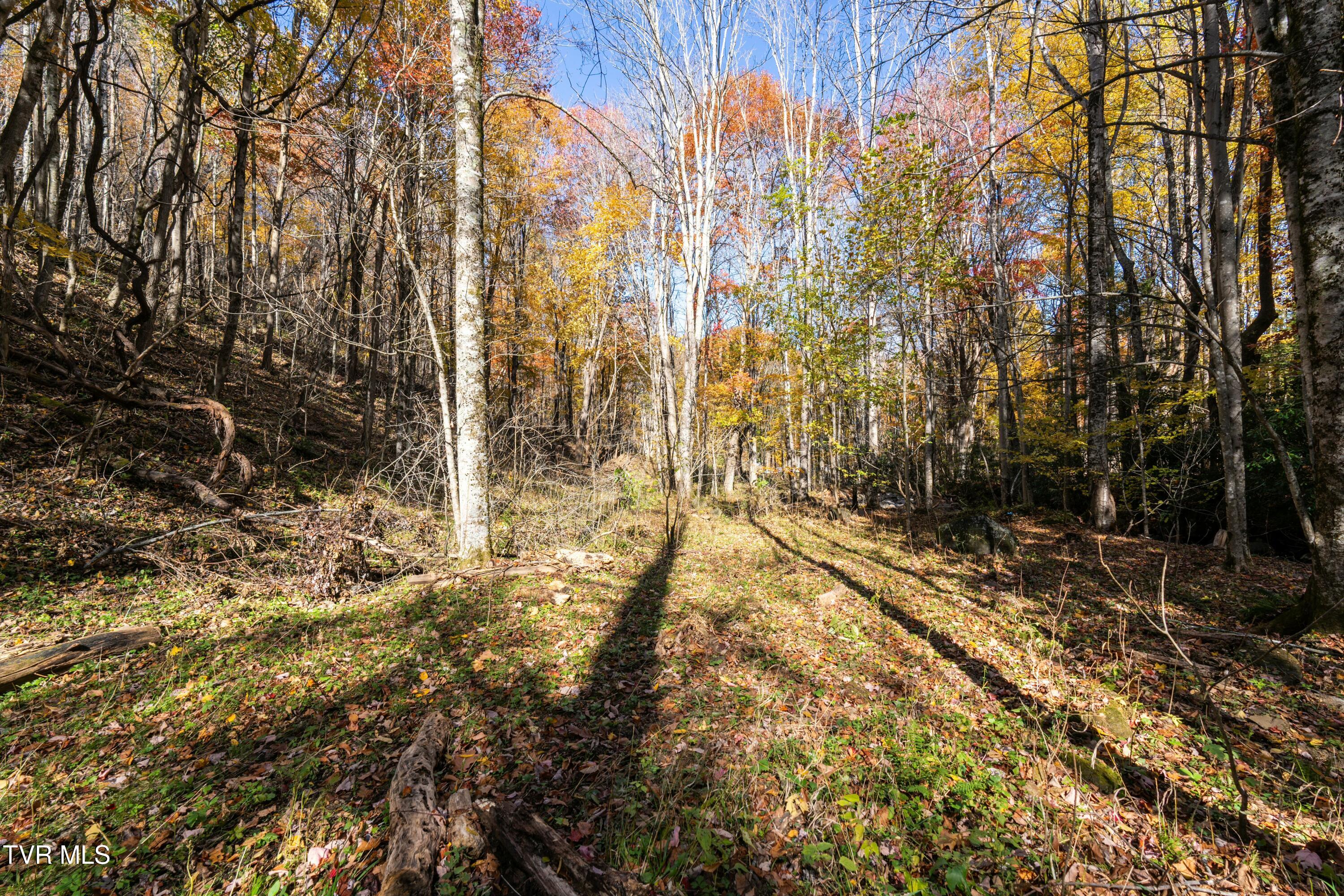 140 Doe Lane, Roan Mountain, Tennessee image 26