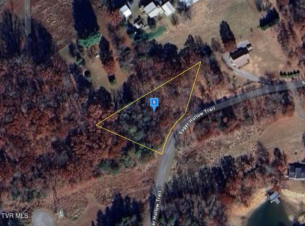 Photo of 308 Sugar Hollow Trail, Piney Flats, TN 37686 (MLS # 9987004)