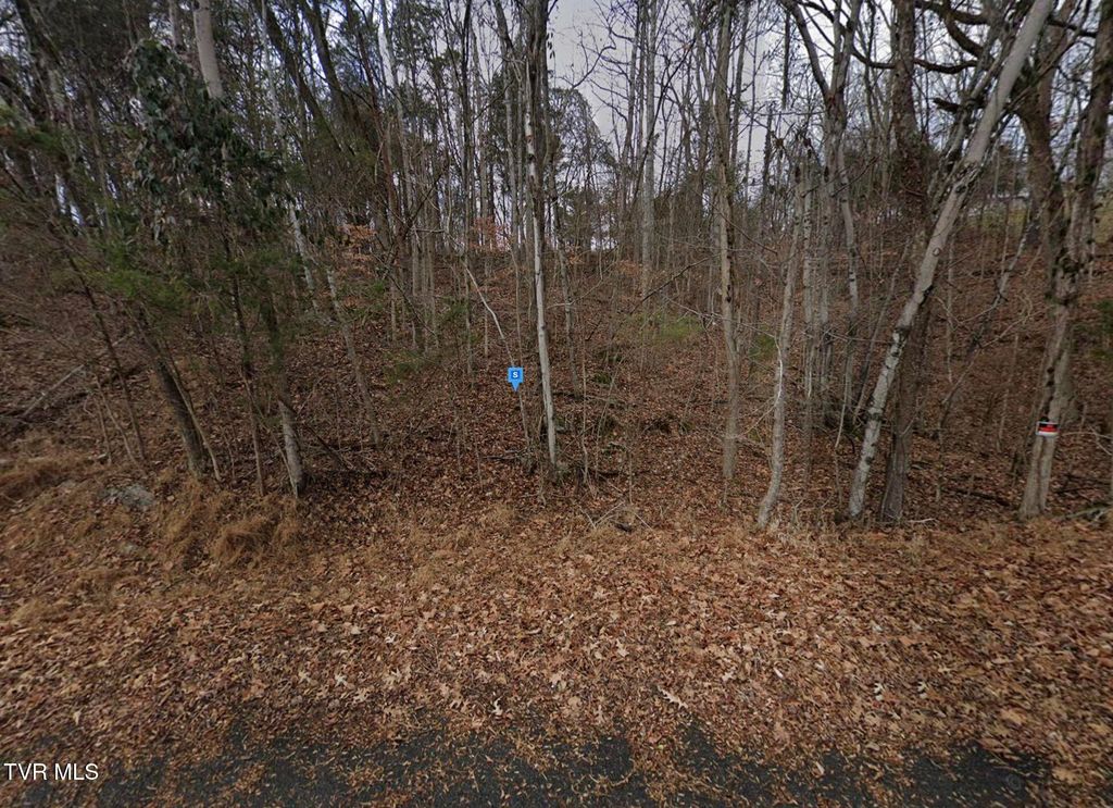 Photo of 308 Sugar Hollow Trail, Piney Flats, TN 37686 (MLS # 9987004)