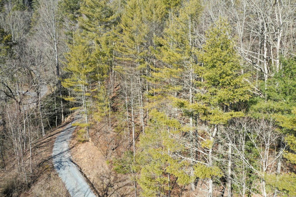 Photo of 156 Rock Quarry Road, Roan Mountain, TN 37687 (MLS # 9998280)