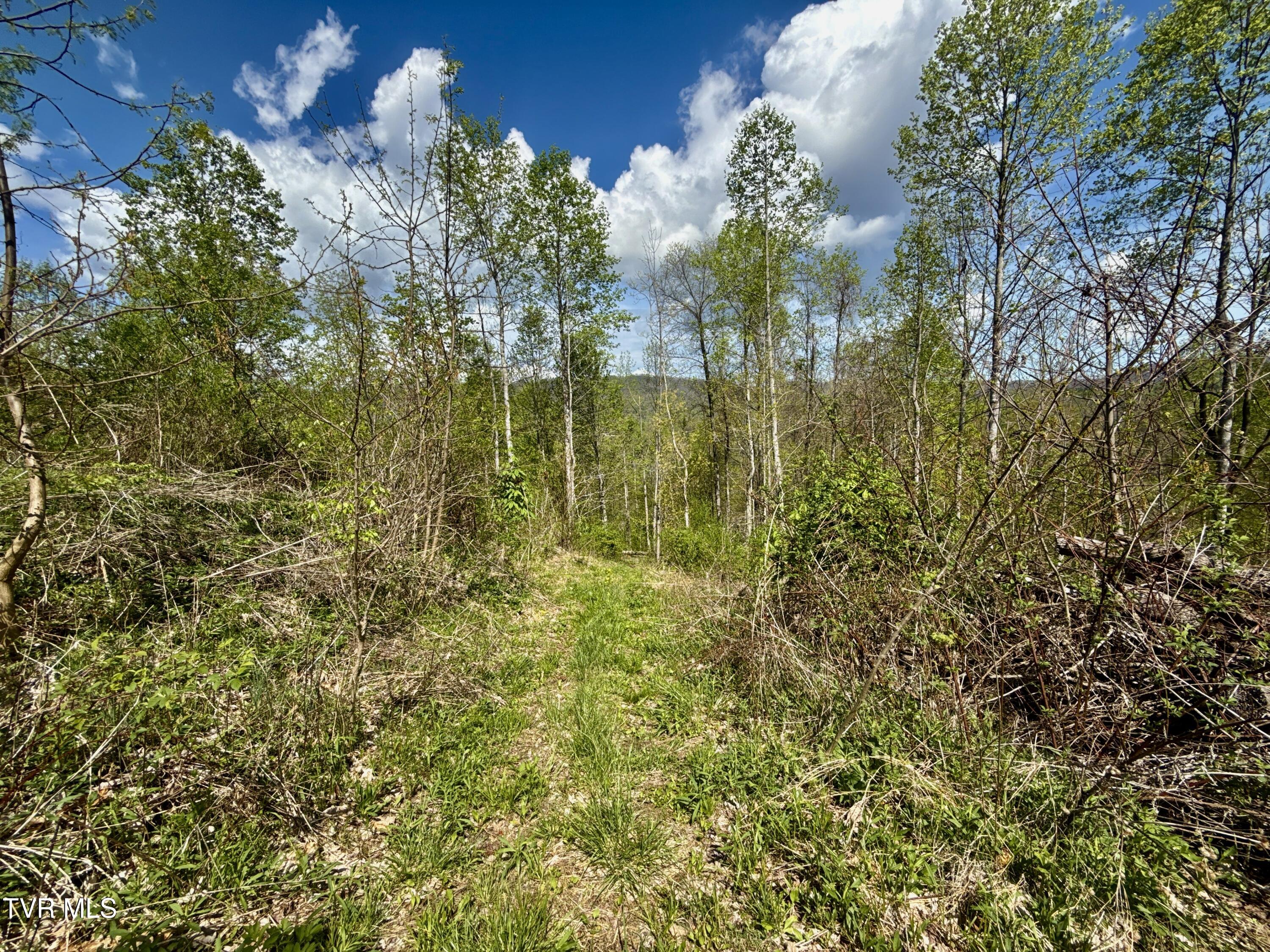 19/Ac Tbd Edith Gouge Rd, Unicoi, Tennessee image 3