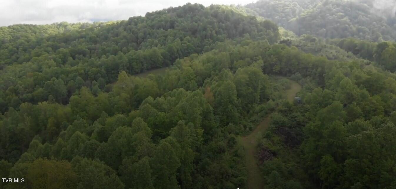 19/Ac Tbd Edith Gouge Rd, Unicoi, Tennessee image 8