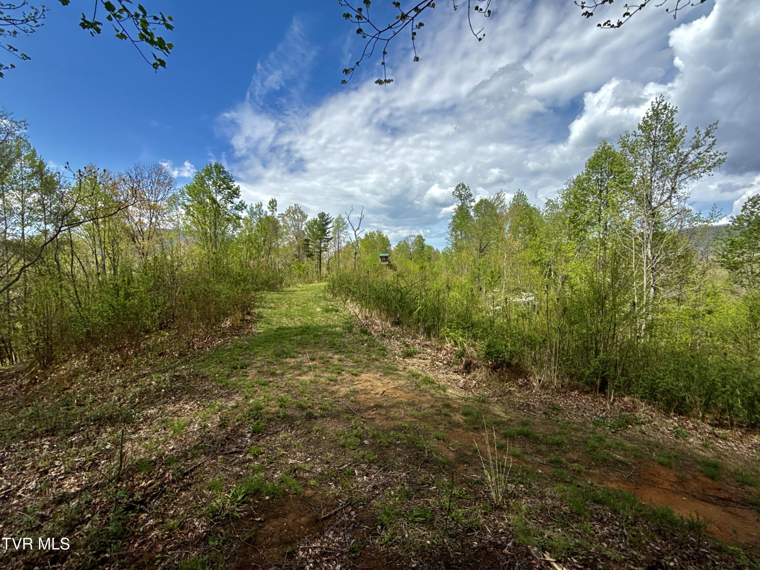 19/Ac Tbd Edith Gouge Rd, Unicoi, Tennessee image 1