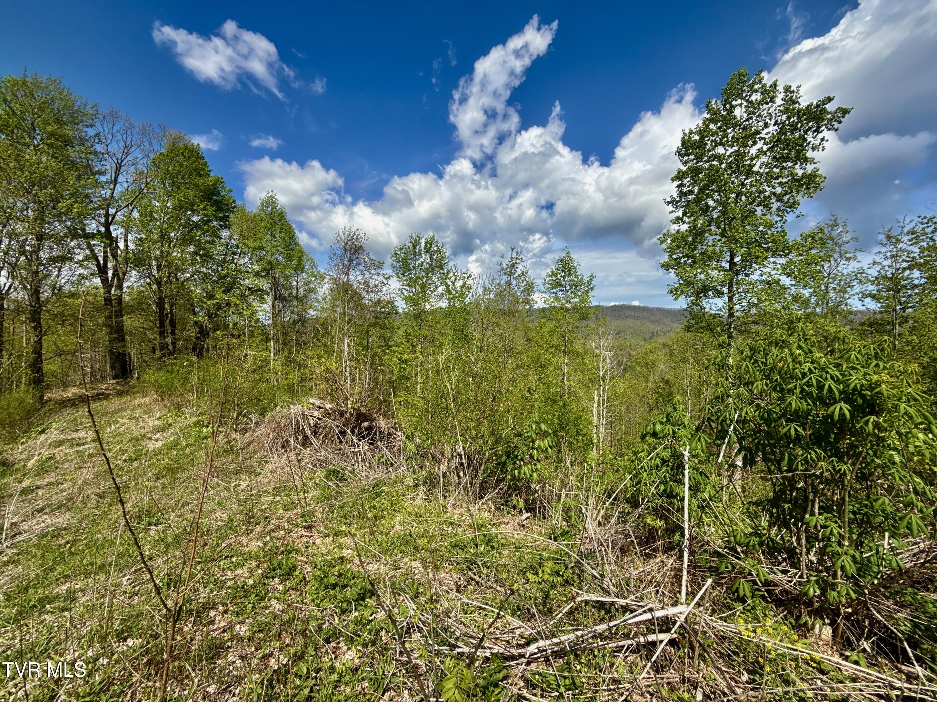 19/Ac Tbd Edith Gouge Rd, Unicoi, Tennessee image 5